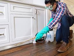 Best Pest Prevention Services  in Glenwood, AR